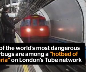 Killer bugs on the tube shock (not)