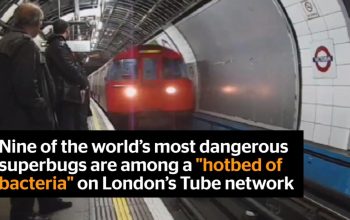 Killer bugs on the tube shock (not)