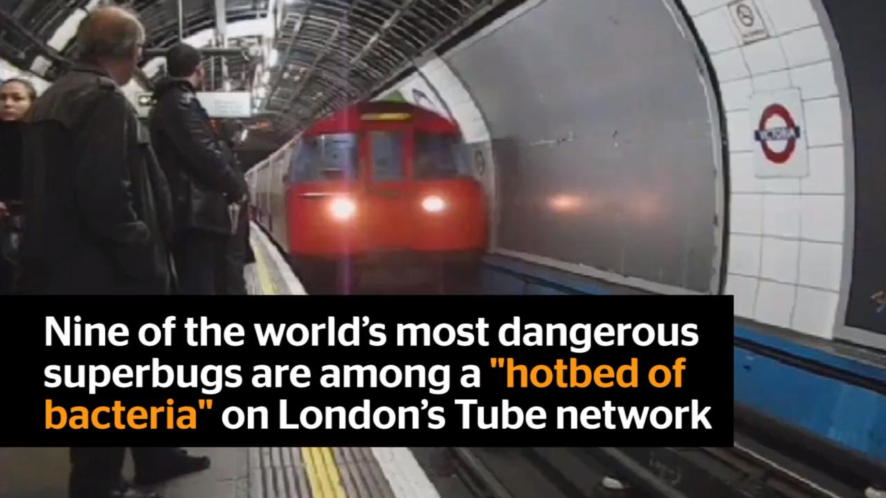 Killer bugs on the tube shock (not)